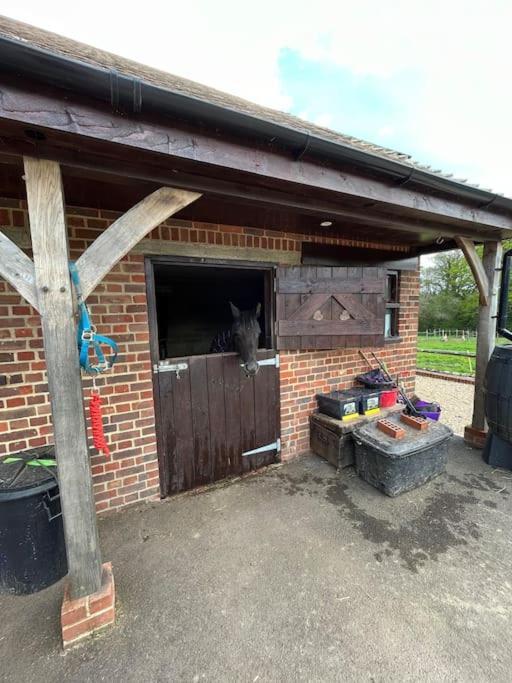 The Stable, Grove End Farm Daire Petworth Dış mekan fotoğraf