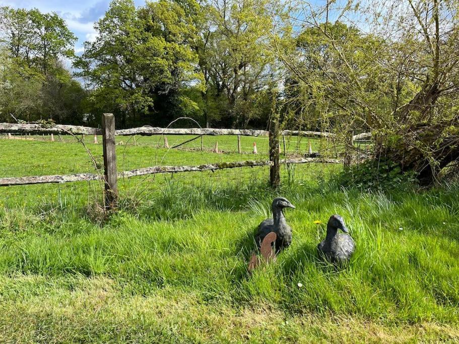 The Stable, Grove End Farm Daire Petworth Dış mekan fotoğraf