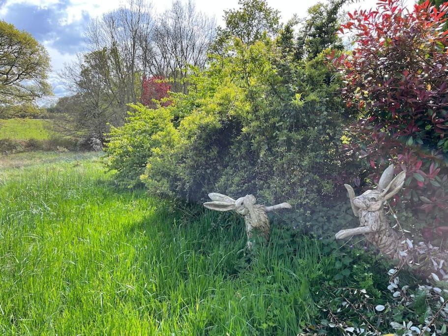 The Stable, Grove End Farm Daire Petworth Dış mekan fotoğraf
